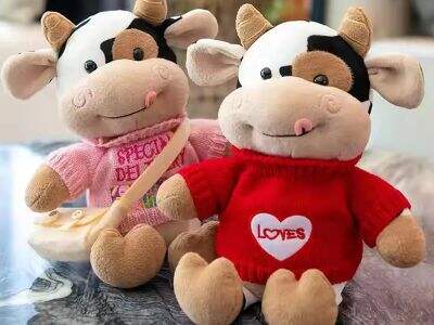 Unboxing Surprises: Why Blind Box Gifts Are Growing Popular