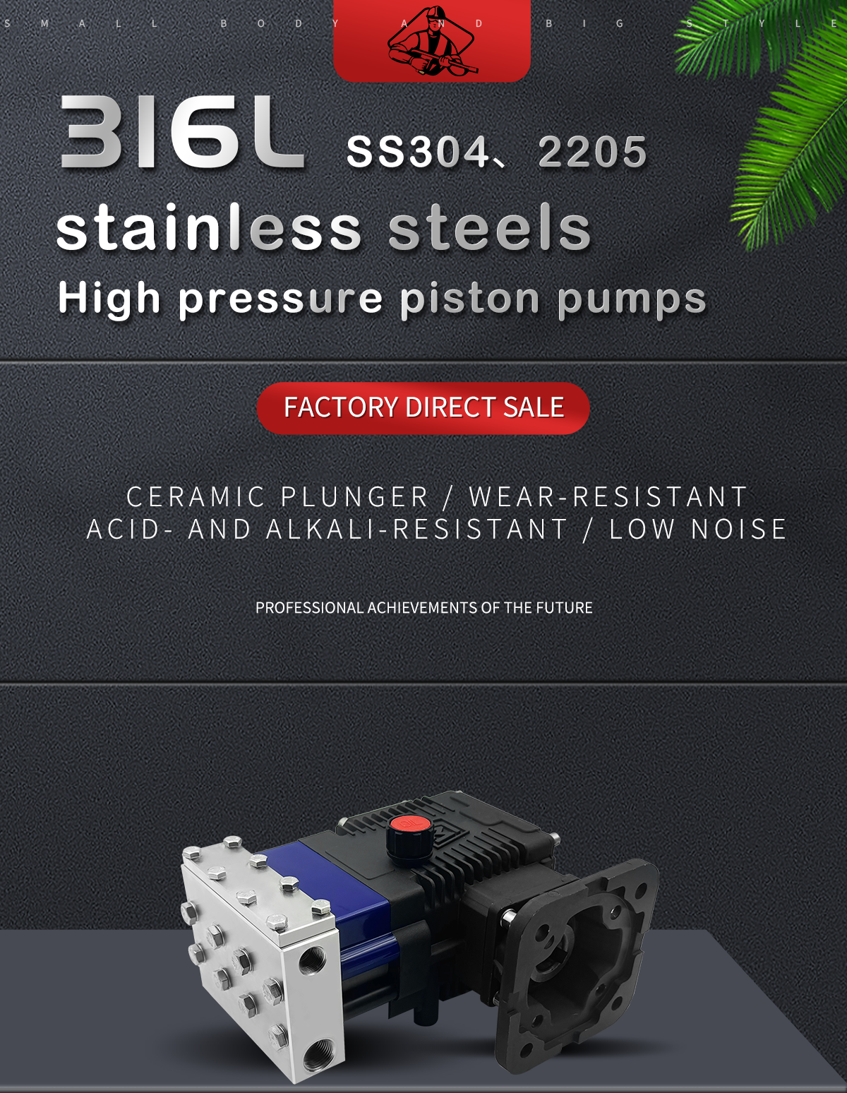 2-18lpm Commercial Triplex Plunger  680-1450rpm Cold Clean Water Stainless Steel/Alloy Material High Pressure Pump manufacture