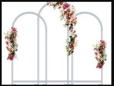 Why Partner with Landscape for Your Display Needs Now