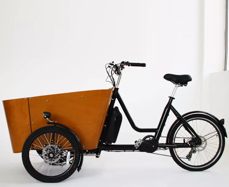 2022 new model factory wholesale cargo ebike  3 wheels electric cargo bike manufacture