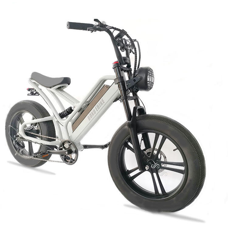 20 inch Cargo E-bike Mtb Electric Bike Fat Tire Electric Bicycle Ebike Electric Mountain Bike manufacture