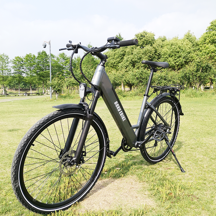 rad runner ebike 36v 250w vintage push bike electric bicycle electric chinas electric bike factory