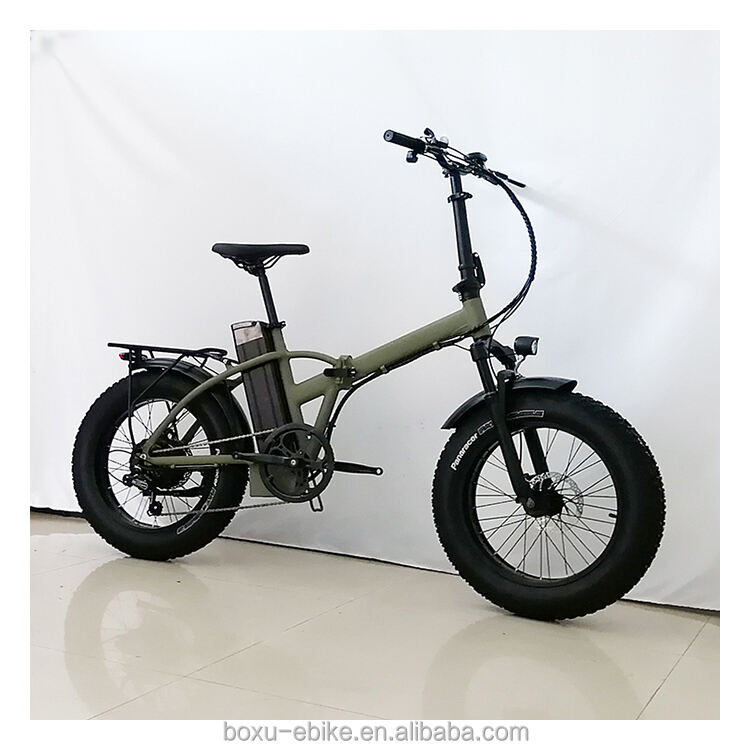 Brushless 36V 250W LED OEM 20 Inch Hub Motor Light Foldable Electric Bike details