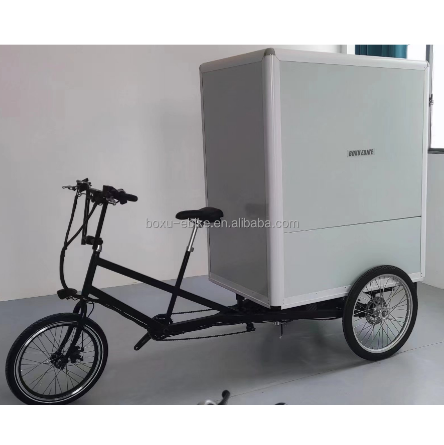 3 wheel electric tricycles adults e-trikes cheap electric cargo tricycles manufacture