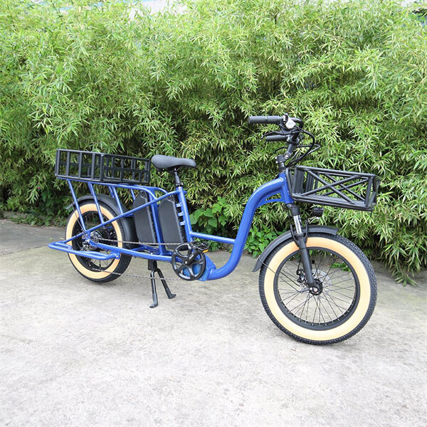 Addmotor Electric Bike for Any Adventure