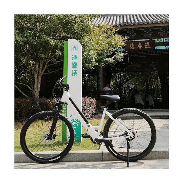 Get Fit and Have Fun with a Cyrusher Electric Bike - The Perfect Companion for Outdoor Enthusiasts