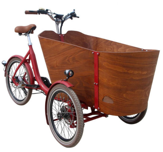 250W  three wheels cargo bike electric e-cargo family e bicycle electric tricycle  reverse tricycle cargo details