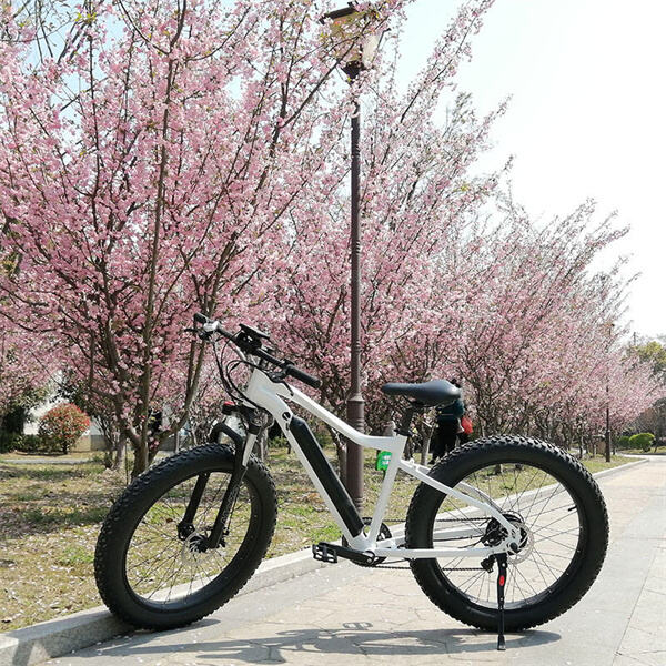 Entfesseln Sie den Abenteurer in sich bei einer Downhill-Fahrt mit dem Elektrofahrrad