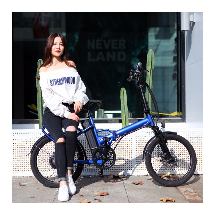 Foldable E bicycles 20 inch fat tire electric moped bike 350W 500W 750W small folding electric bike affordable electric bike manufacture