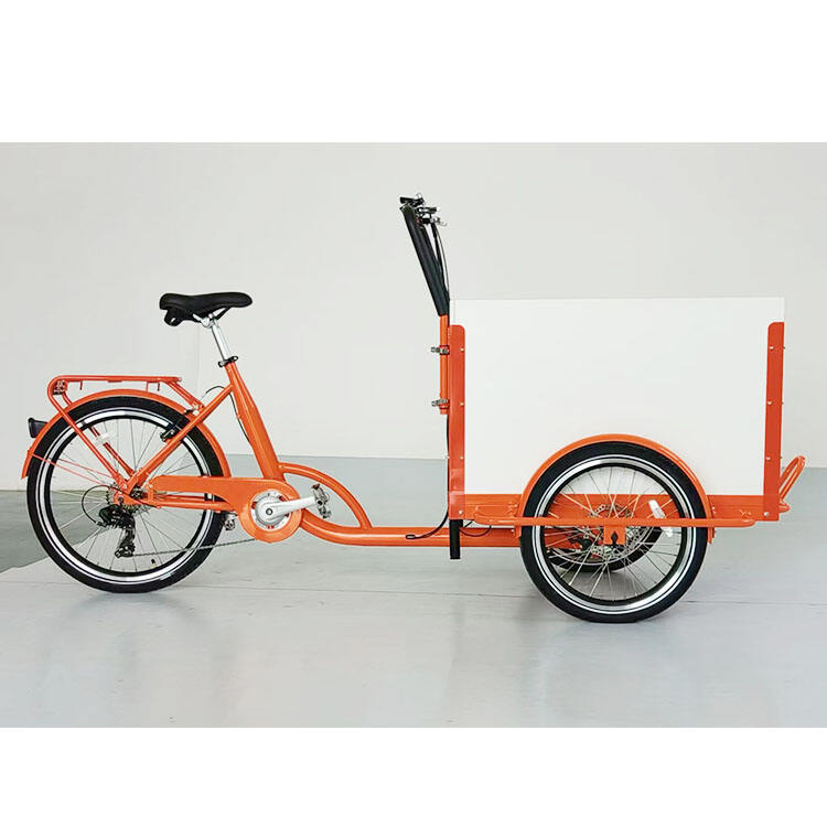 sustainable lithium battery 24inch cargo e-bikes long seat cargo bike electric family cargo bike child seat manufacture