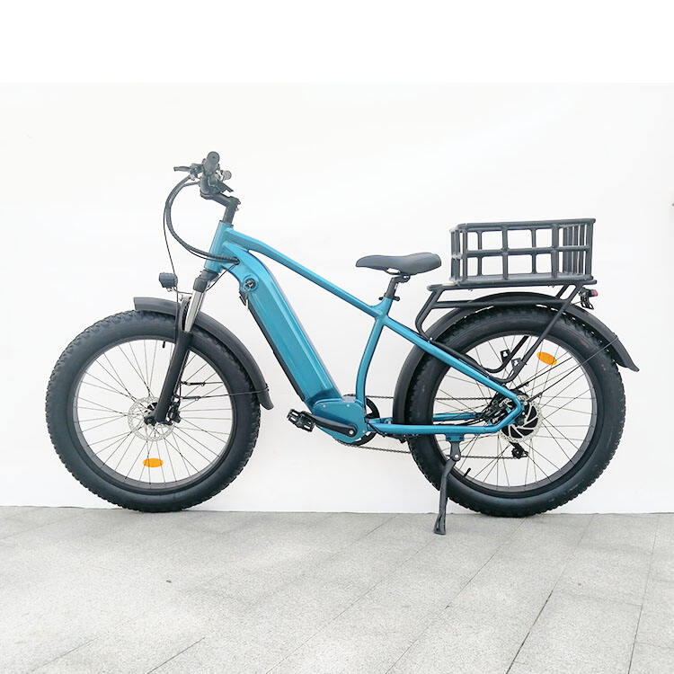 48V 750W Mountain Electric Bicycle Fat Tire Off Road Adults Cycling Ebike supplier