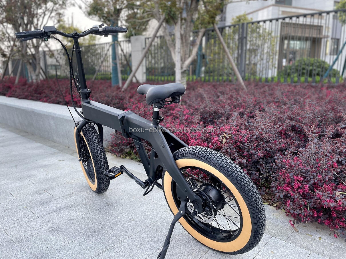 Foldable Electric Hub Motor Brushless 48V 500W Bike Mountain LED Light OEM Frame Battery Time Charging supplier