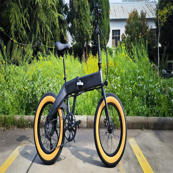 Gear up for adventures with tricycle electric bikes perfect for challenging terrains