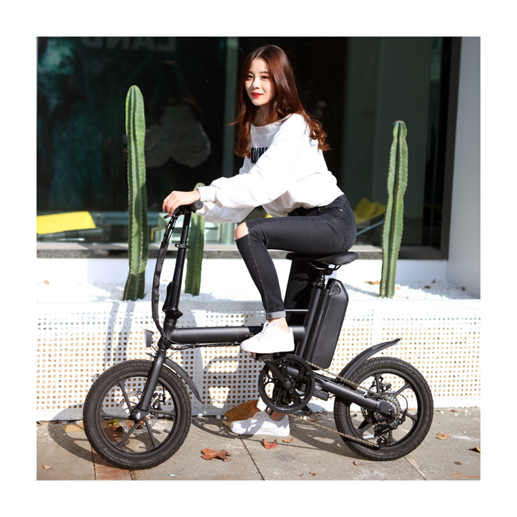 Foldable Electric Bike Brushless 36V 250W LED Light OEM Frame Battery Time Charging manufacture