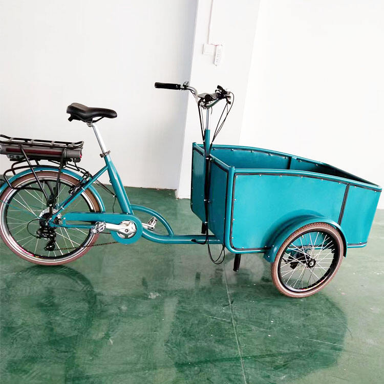 swing balance Electric tilt system version cargo bike 3 three wheels tricycle cargo ebike cargo dog ebike electric tricycles details