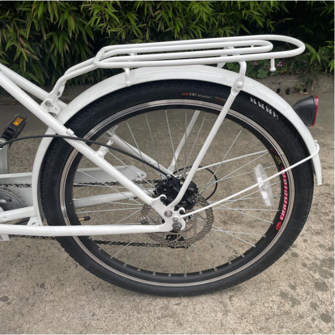 36V 48V 250W 350W 500W Brushless Hub Motor E-Bike Cargo Bike Family Child Transport manufacture