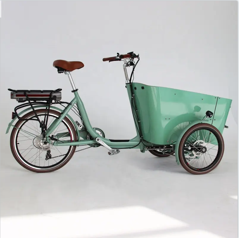 250W  three wheels cargo bike electric e-cargo family e bicycle electric tricycle  reverse tricycle cargo supplier