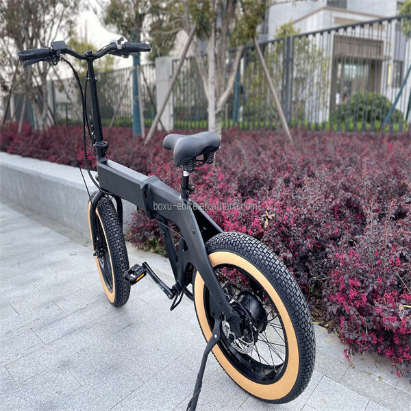 Transforming Your Bike Ride with an E-Bike