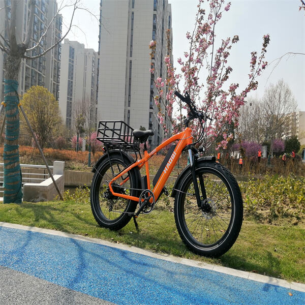 מדוע מנועי רכזת e Bike הם העתיד של רכיבה על אופניים