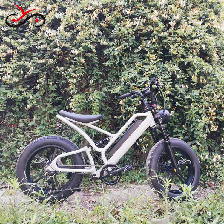 20 inch Cargo E-bike Mtb Electric Bike Fat Tire Electric Bicycle Ebike Electric Mountain Bike supplier