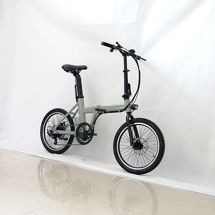 20 Inch Light Foldable Electric Bike Brushless 36V 250W  LED OEM manufacture