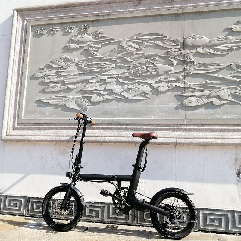 Foldable Electric Bike Brushless 36V 250W LED Light OEM Frame Battery Time Charging details