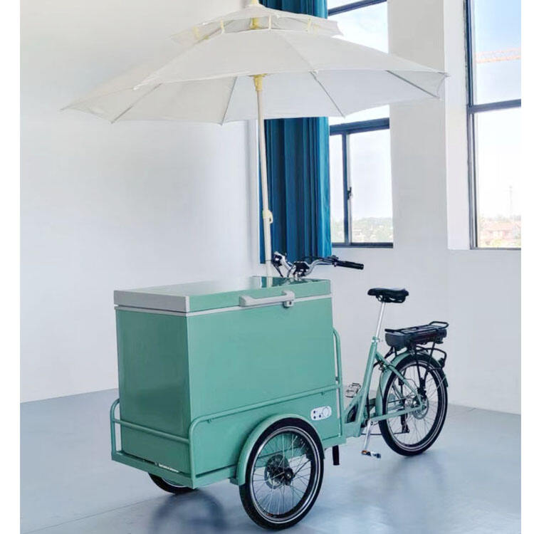 Direct Source  ODM&OEM Manufacturer Tricycle Cargo Bike 24''  Freezer Bicycle Vending Cart supplier