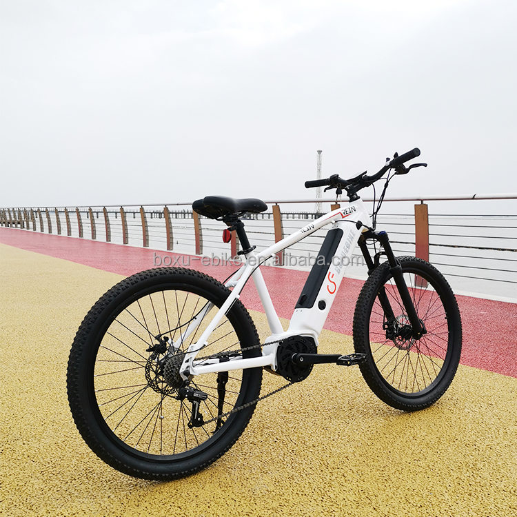 Wholesale 26 Inch E Mountain Bike Lithium Battery Men Electric Bicycle manufacture