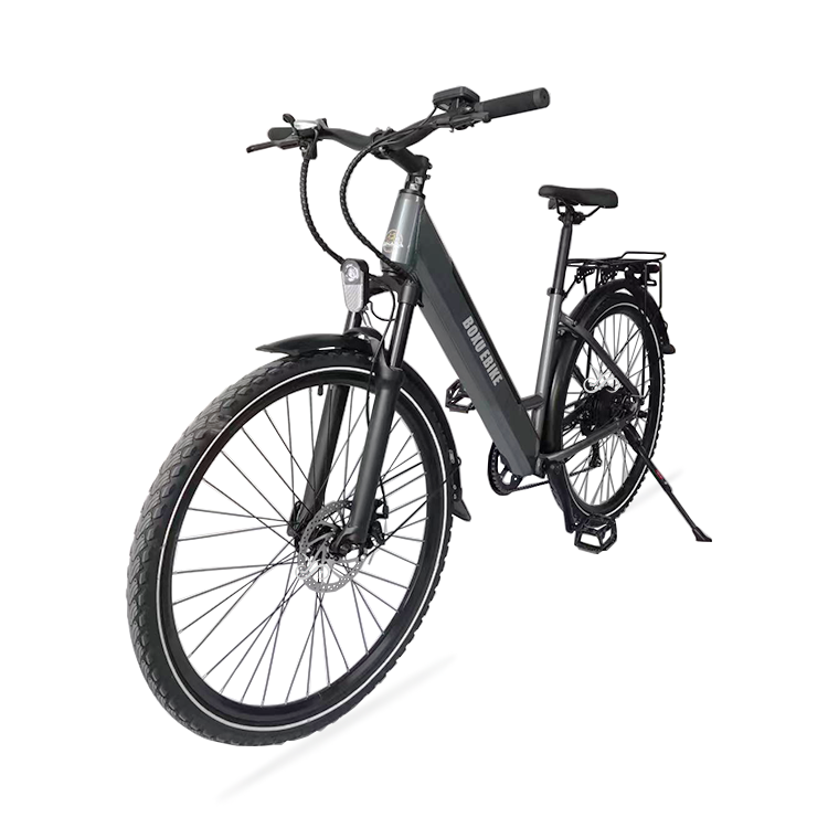 OEM and ODM Electric Bike 36V 48V 350W For Sale Brushless LED Light details