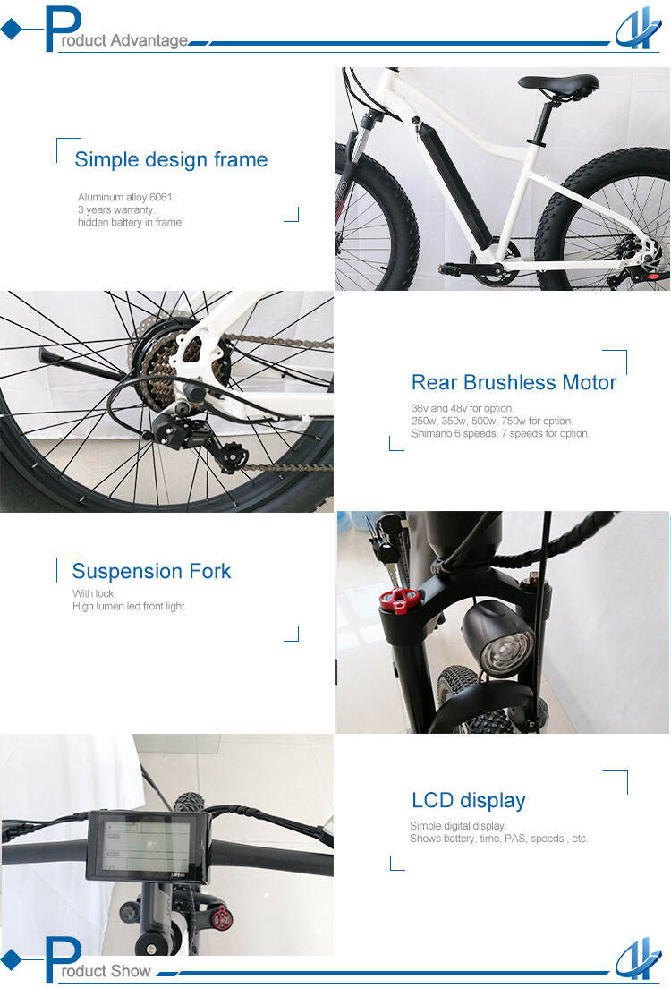 Fat Tire Hub Electric Mountain Bike 26*4.0 Motor Power Battery Charging factory