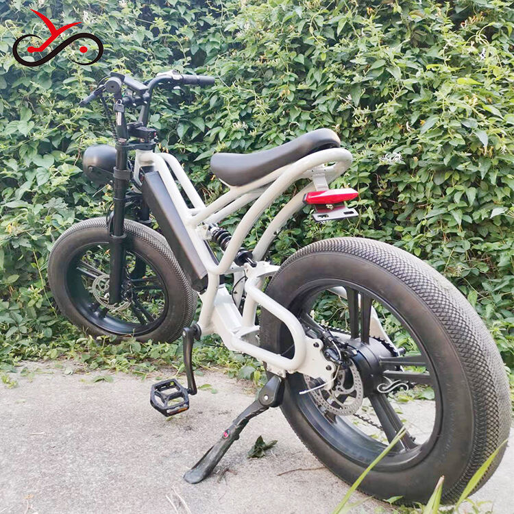 20 inch Cargo E-bike Mtb Electric Bike Fat Tire Electric Bicycle Ebike Electric Mountain Bike manufacture