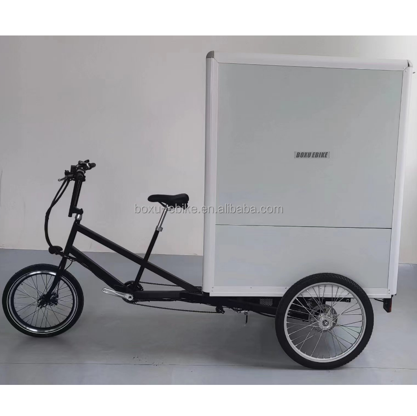 3 wheel electric tricycles adults e-trikes cheap electric cargo tricycles details