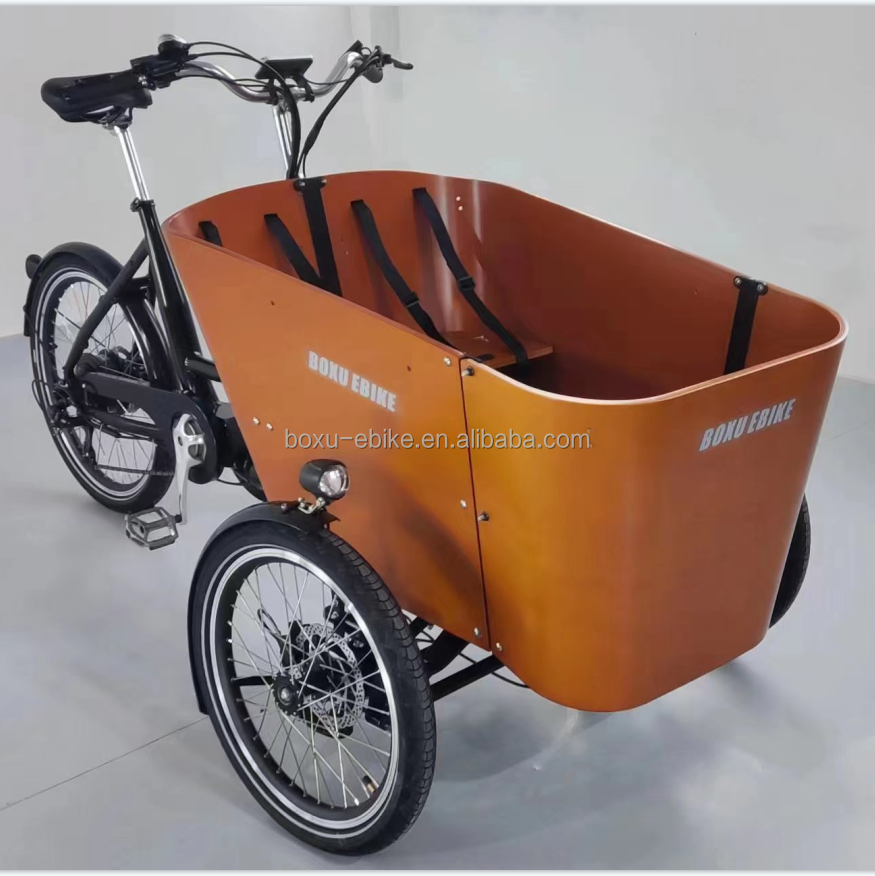 balance swing goods kids carrier cargo tricycle long family e-cargo bike three wheel danish electric cargo tricycle bike supplier