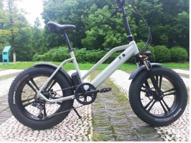 20 colių 4.0 padangos Ebike 500w elektrinis dviratis sulankstomas pigus aliuminio lydinio OEM 2 ratai ličio akumuliatoriaus stora padanga elektrinio dviračio informacija