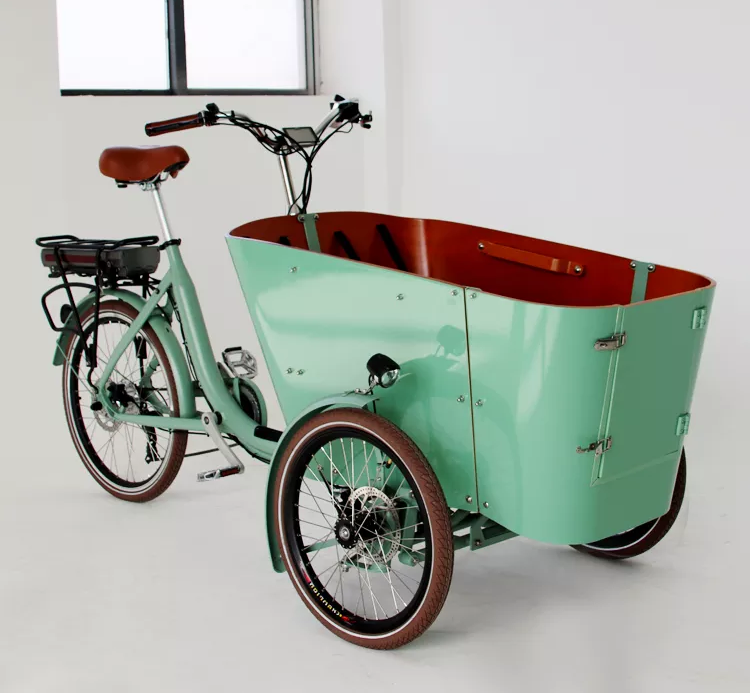 250W  three wheels cargo bike electric e-cargo family e bicycle electric tricycle  reverse tricycle cargo manufacture