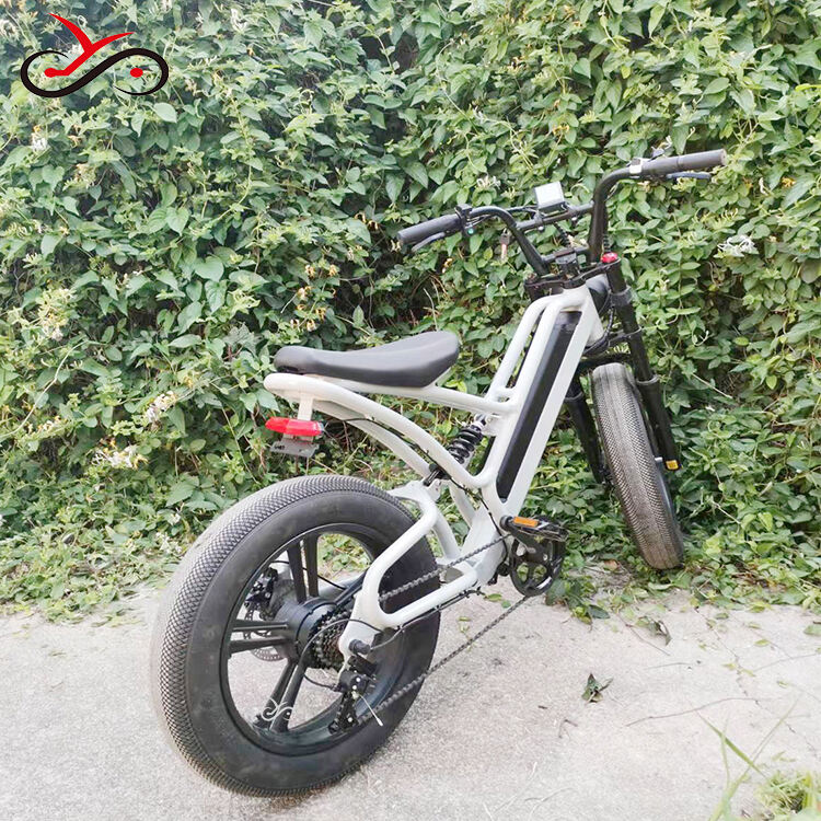 20 inch Cargo E-bike Mtb Electric Bike Fat Tire Electric Bicycle Ebike Electric Mountain Bike details