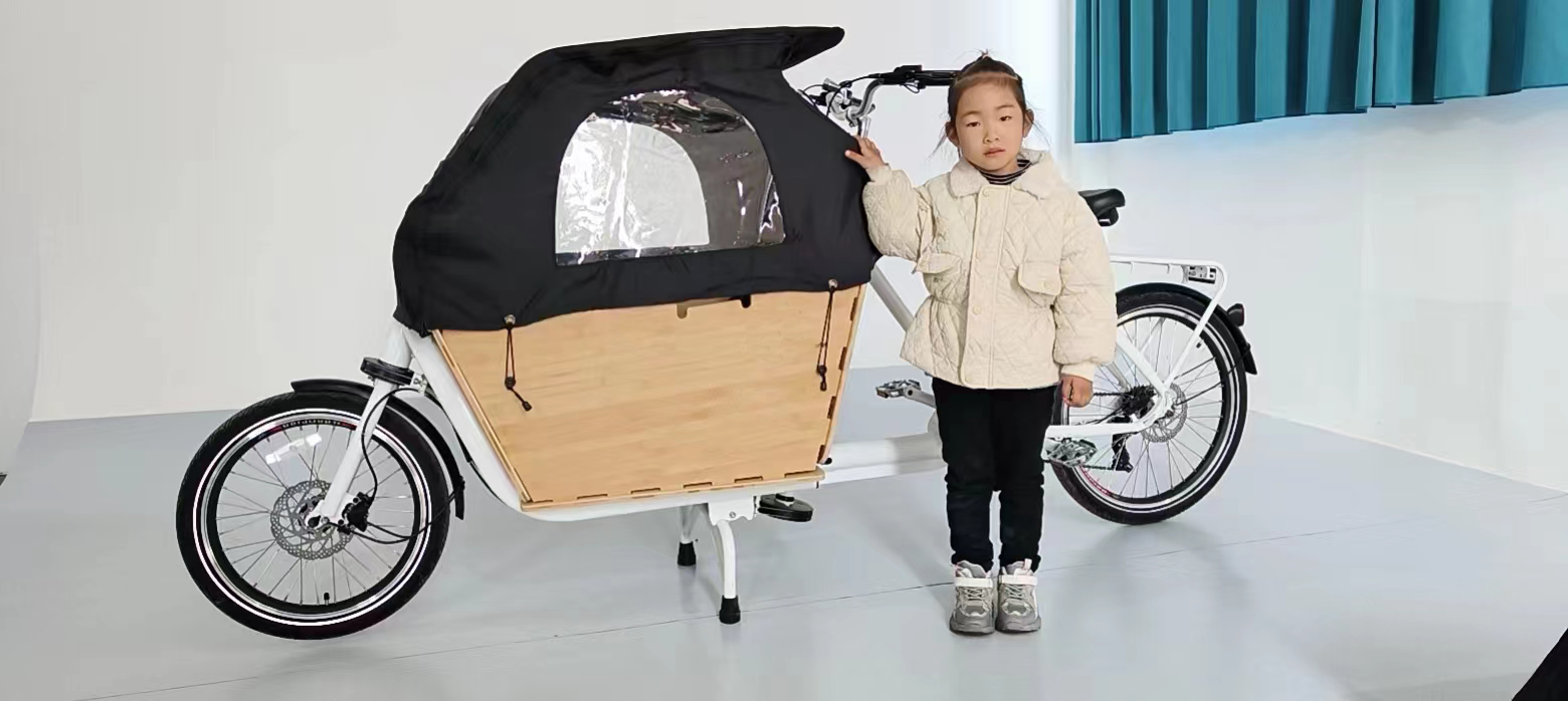 BOXU Customized Family Cargo Bike Electric Ebike E-cargo Family E Bicycle Central Motor factory