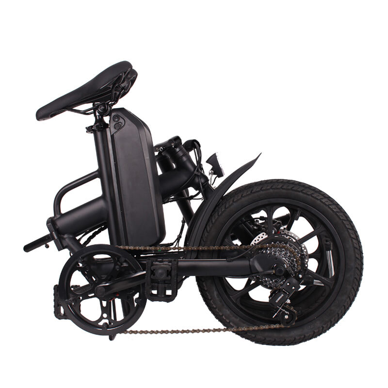 Foldable Electric Bike Brushless 36V 250W LED Light OEM Frame Battery Time Charging manufacture