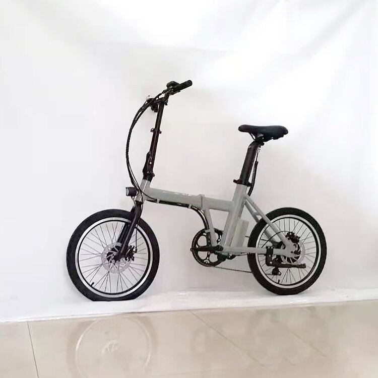 20 Inch Light Foldable Electric Bike Brushless 36V 250W  LED OEM manufacture