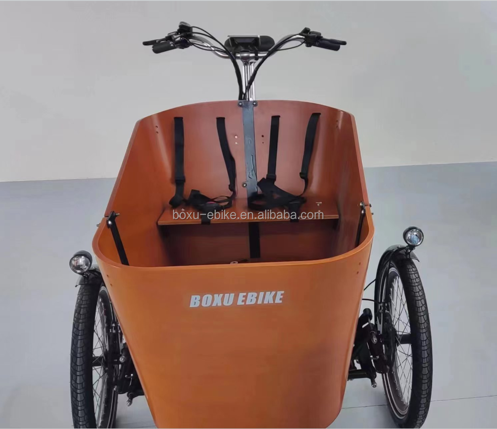 balance swing goods kids carrier cargo tricycle long family e-cargo bike three wheel danish electric cargo tricycle bike details