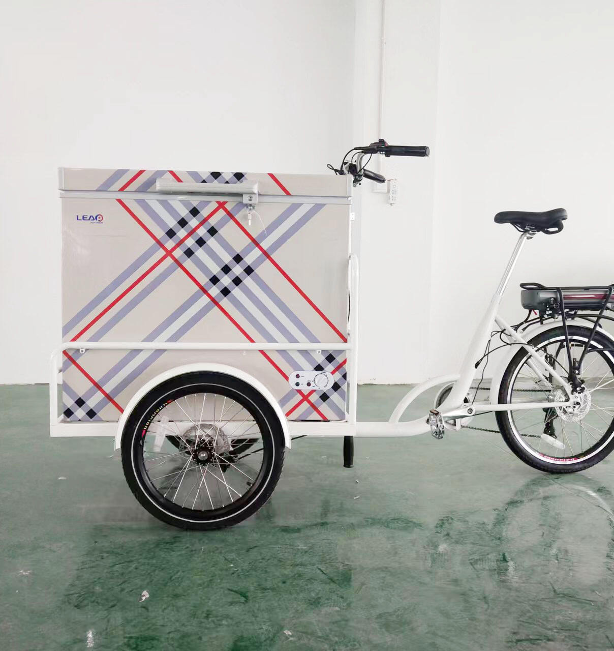 Direct Source  ODM&OEM Manufacturer Tricycle Cargo Bike 24''  Freezer Bicycle Vending Cart manufacture