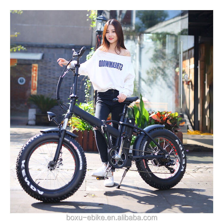 selling 500w 750w 1000w motor e-bike fat tire e bike mtb foldable e bike details