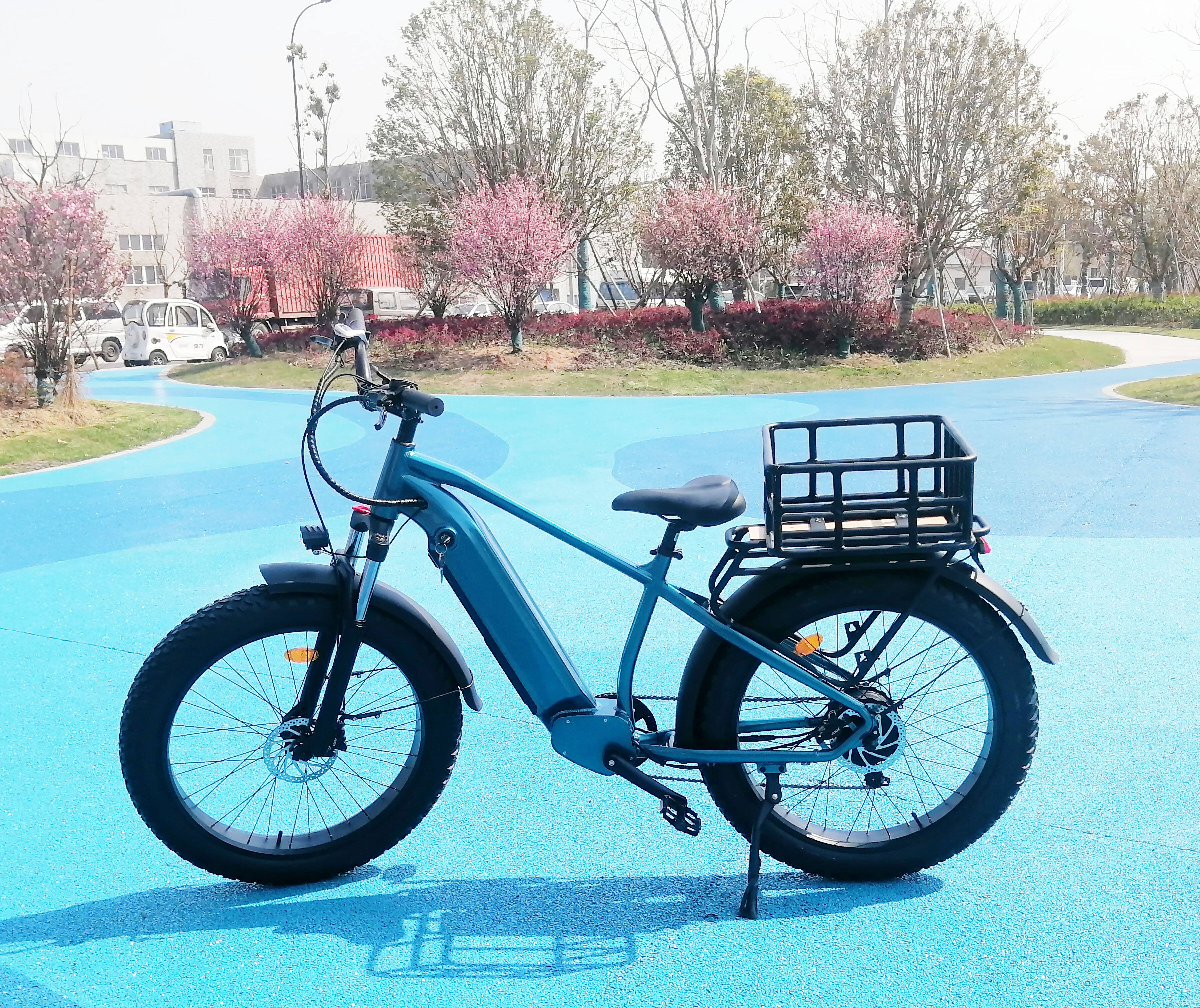 48V 750W Mountain Electric Bicycle Fat Tire Off Road Adults Cycling Ebike supplier