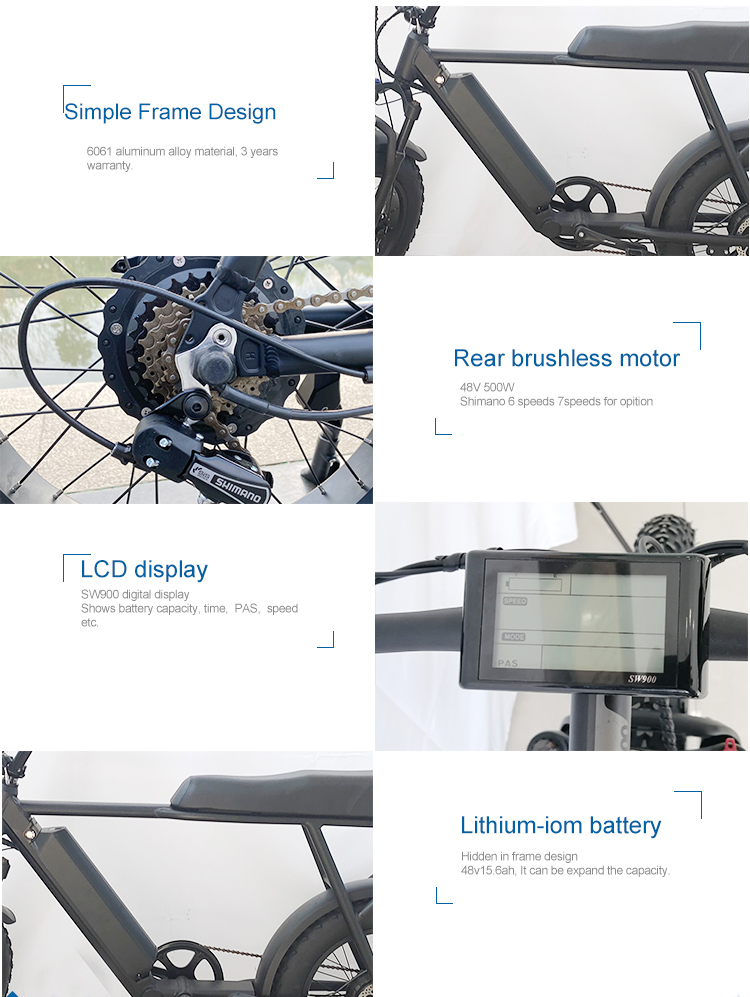 TDE-05 double seat 20inch 4.0 fat tire 15.6ah battery e bike powerful electric fat tire bike bicycle details