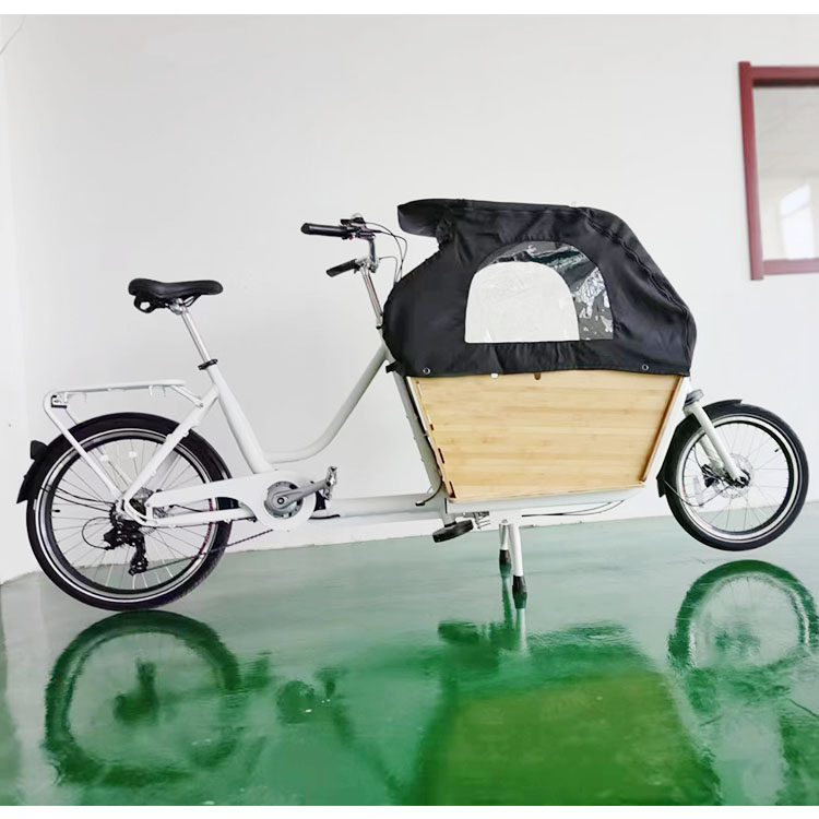 BOXU Customized Family Cargo Bike Electric Ebike E-cargo Family E Bicycle Central Motor details