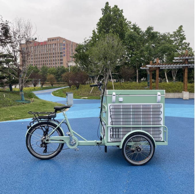 3 wheel ice cream bike electric tricycle for frozen food bike outdoor sale supplier