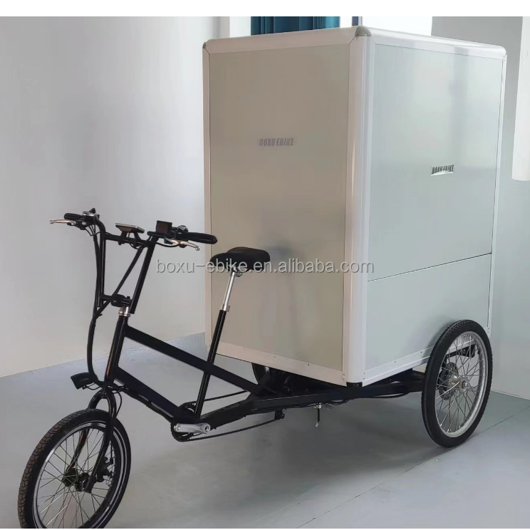 3 wheel electric tricycles adults e-trikes cheap electric cargo tricycles details