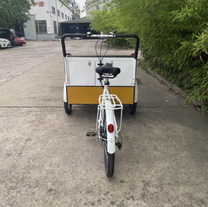 36V 48V 250W 350W 500W Brushless Hub Motor E-Bike Cargo Bike Family Child Transport manufacture