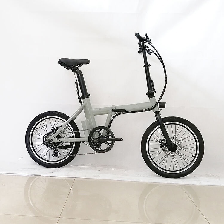 20 Inch Light Foldable Electric Bike Brushless 36V 250W  LED OEM supplier