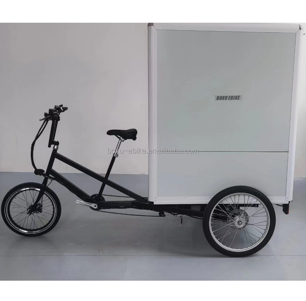 3 wheel electric tricycles adults e-trikes cheap electric cargo tricycles supplier